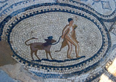 Mosaic at Volubilis archeological site in Morocco