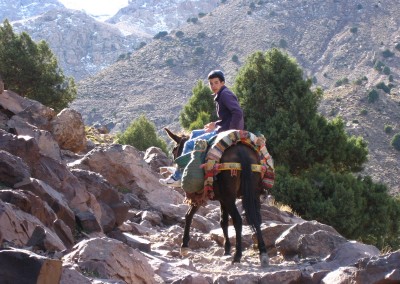 Berber boy on a mule near Imlil in the High Atlas Mountains