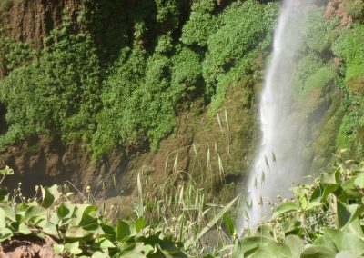 Lush green walls of Ouzoud Waterfalls